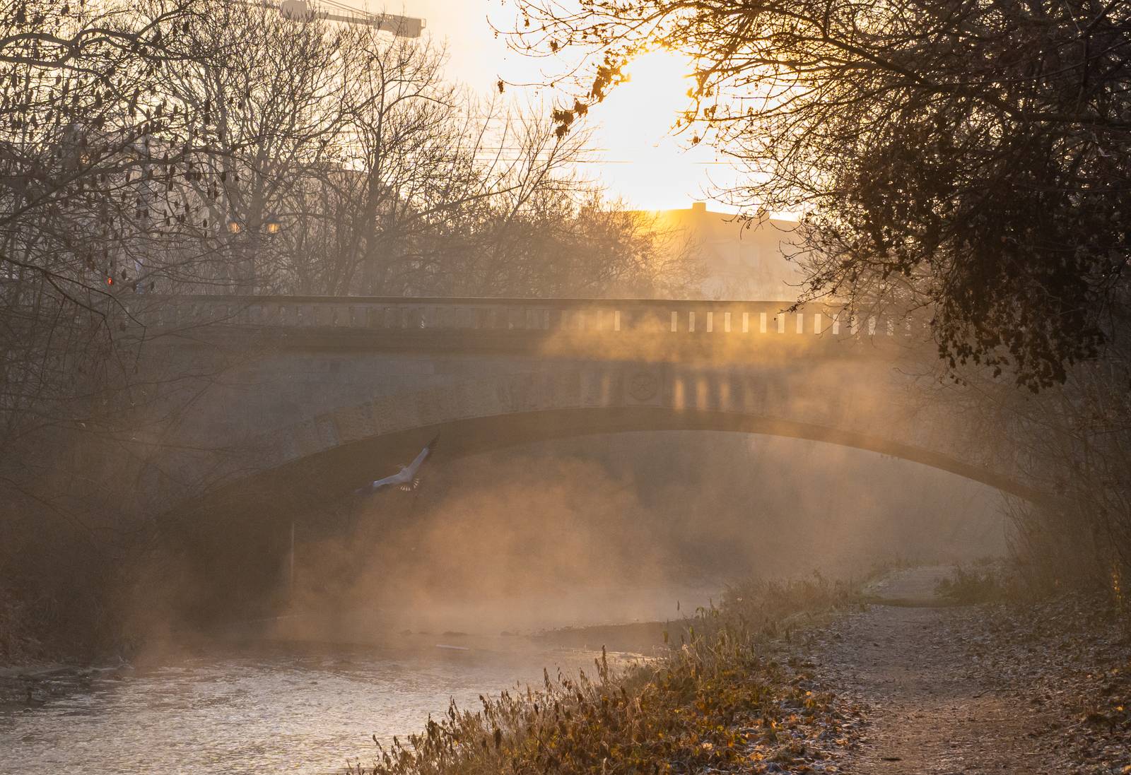 Krämpferbrücke - Sonne - Nebel