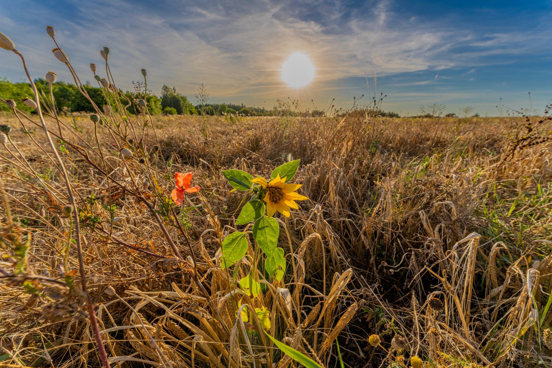 Sonnenuntergang